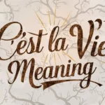 C'est La Vie Meaning