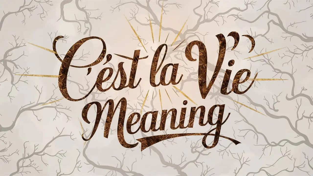 C'est La Vie Meaning