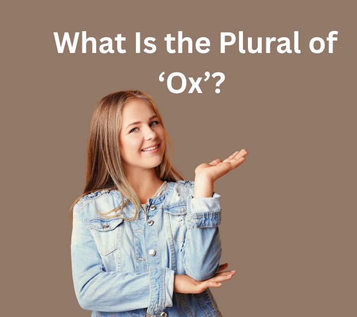 Plural of Ox