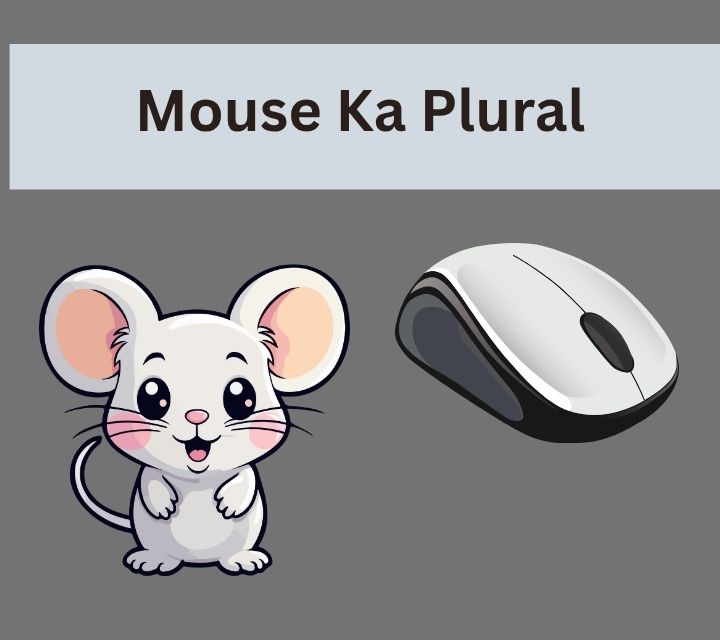 Mouse Ka Plural