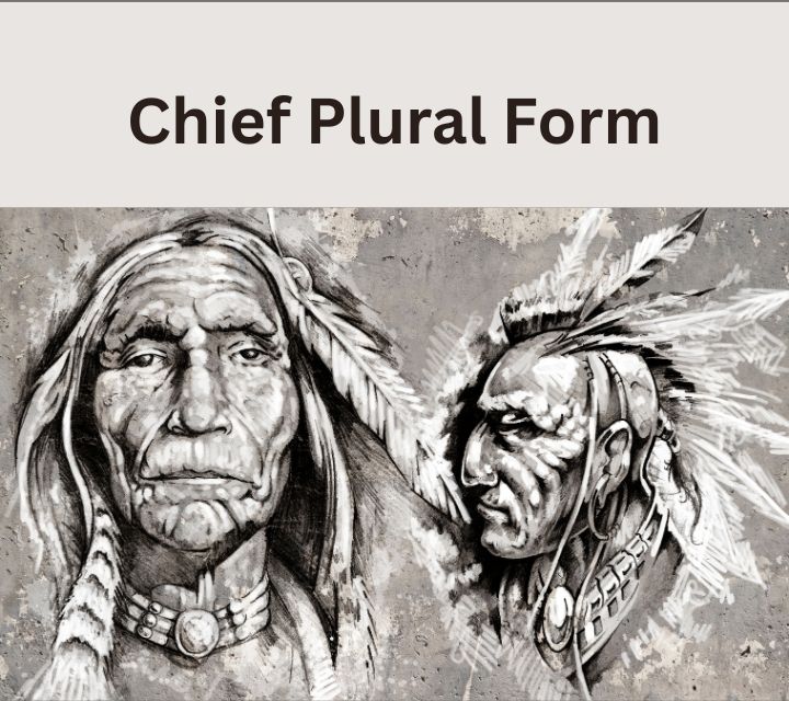 chief plural form
