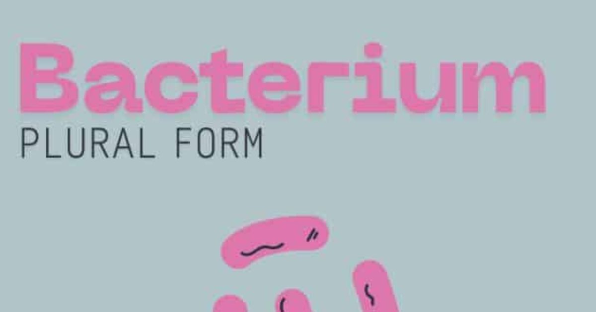 Is The Bacterium Plural Form?