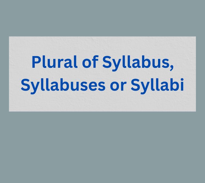 Plural of Syllabus, Syllabuses or Syllabi