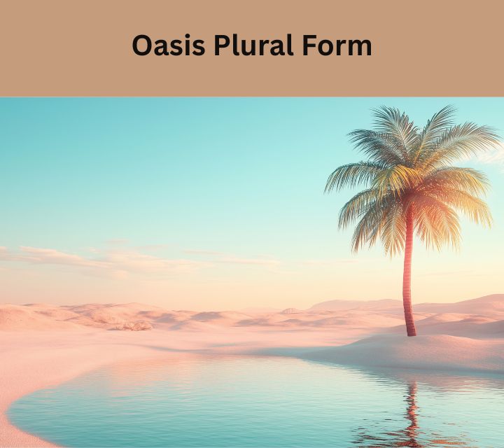 oasis plural form