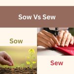 sow vs sew
