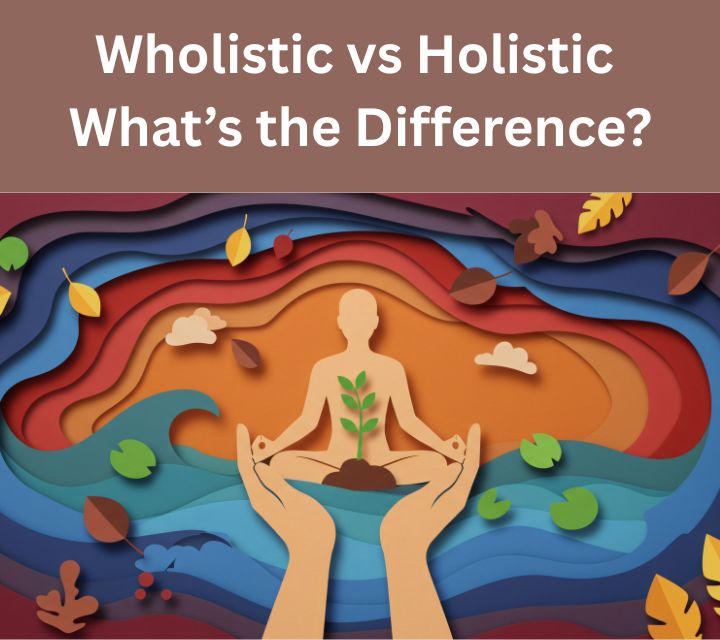wholistic vs holistic