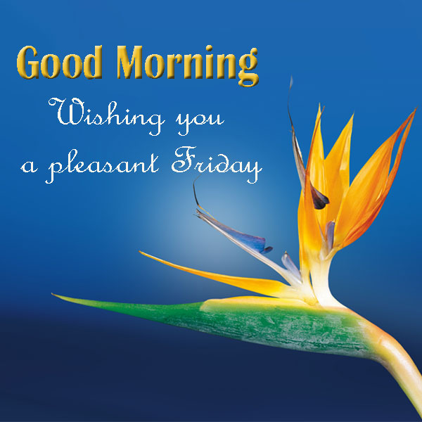 Friday Good Morning Wishes: 200+ Beautiful Messages, Blessings & Quotes